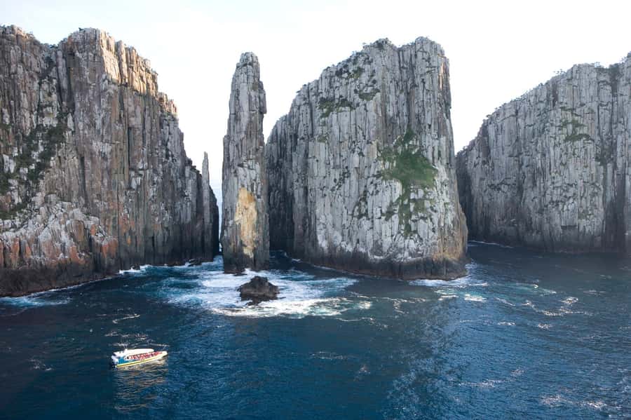 Tasman Peninsula Day Trip with Cruise & Devils from Hobart - Wildlife odds: seals, whales, albatrosses, and dolphins