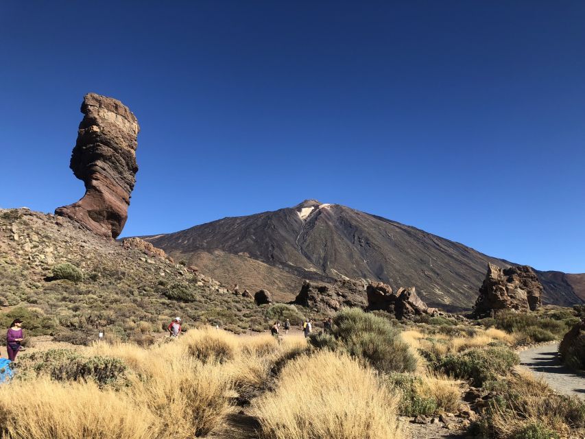Tenerife: Mount Teide, Masca, Icod and Garachico Day Trip - Entering El Teide National Park: focus on the big picture