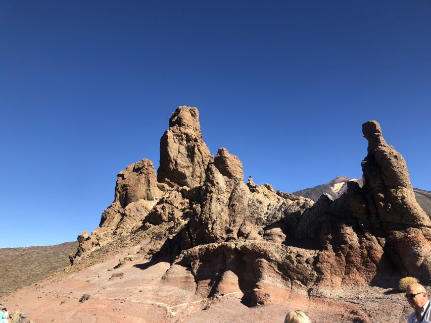 Tenerife: Mount Teide, Masca, Icod and Garachico Day Trip - Icod de los Vinos and the Dragon Tree stop (what’s included and what isn’t)