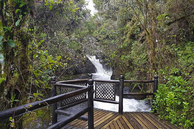 Termas de Papallacta Hot Springs full day tour from Quito - Quito to Papallacta: the day starts with a view and ends with warm water