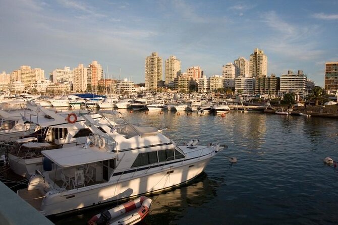 The Best Punta del Este Day Trip from Montevideo - Key highlights worth planning around