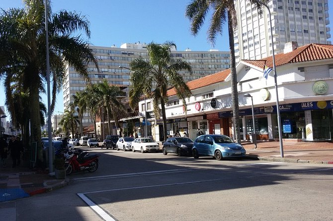 The Best Punta del Este Day Trip from Montevideo - Entering Punta del Este from Montevideo: Why This Day Trip Works