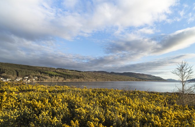 The Complete Loch Ness Experience Small-Group Day Tour from Inverness - Price and value: why this Loch Ness day is priced like a real day tour