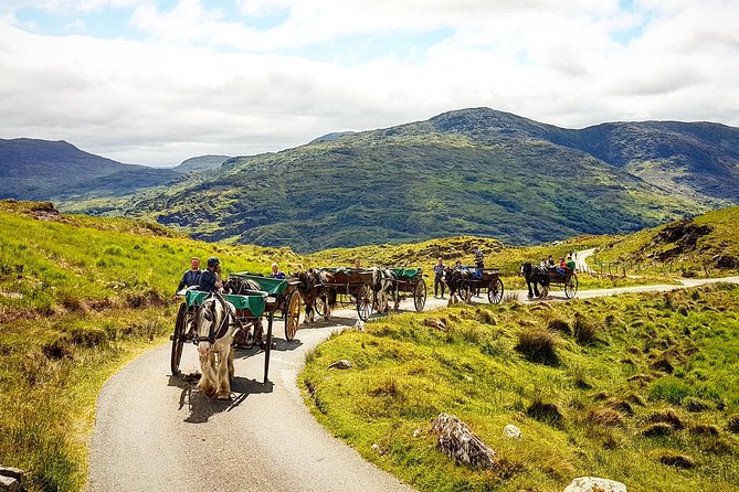 The Gap of Dunloe Adventure Day Tour from Killarney - Black Valley by jaunting car: the remote feel is the point