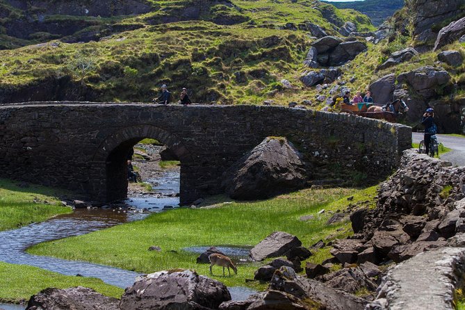The Gap of Dunloe Full-Day Tour from Killarney - Lord Brandon’s Cottage and the Gearhameen boats: the break before the cruise