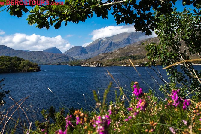 The Gap of Dunloe Full-Day Tour from Killarney - The Lakes of Killarney cruise: three lakes, photo angles, and wildlife talk