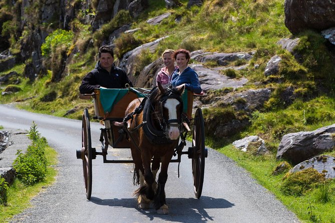 The Gap of Dunloe Full-Day Tour from Killarney - Price and value: what you’re really paying for at EUR 72.59