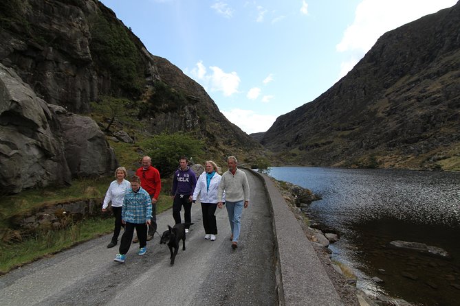 The Gap of Dunloe Full-Day Tour from Killarney - Who should book this Gap of Dunloe day tour, and who should not