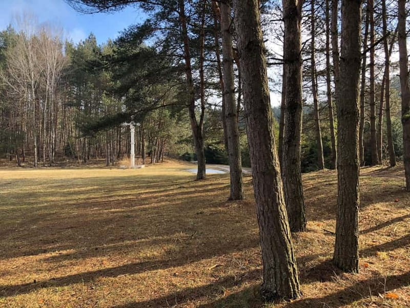 The Hill of Crosses: Full-Day Tour from Vilnius - Private vs group: how the format changes your day