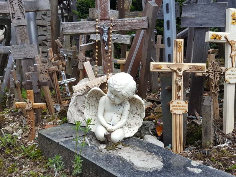 The Hill of Crosses: Full-Day Tour from Vilnius - The guide and driver experience: what to expect in the car