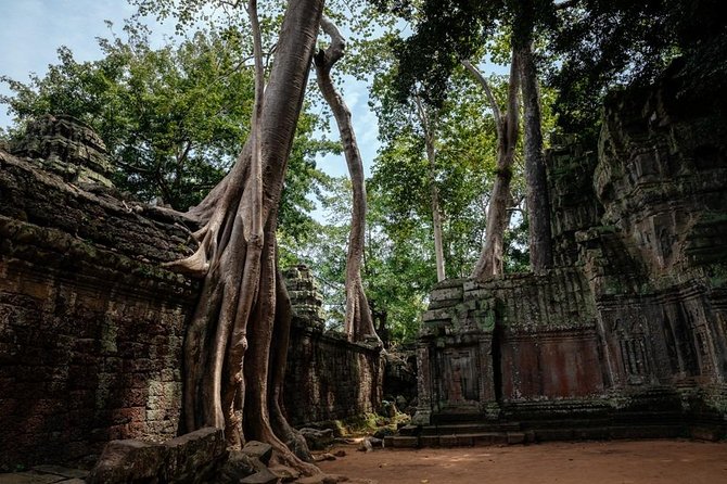 The Ultimate Angkor Wat Temple Private Day Trip - Bayon Temple at Angkor Thom’s south gate and the 54 stone figures