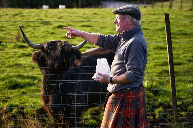 The Ultimate Isle of Skye Day Tour from Inverness - Portree’s 45-Minute Harbor Hit: food, views, and local errands