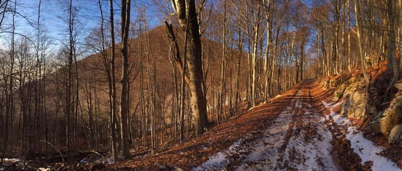 Tirana: Dajti Mountain Half-Day Trip with Cable Car Ticket - Key highlights at a glance