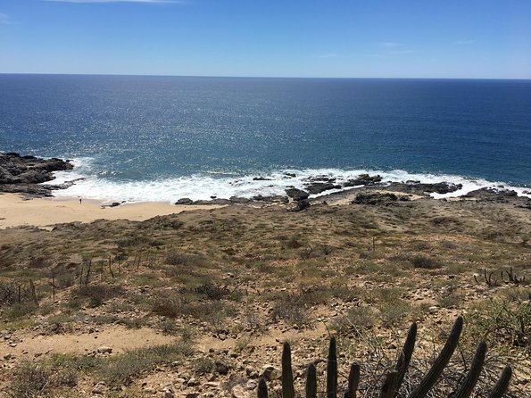 Todos Santos Day Trip from Cabo San Lucas - Tequila tasting and the vendor-factor question