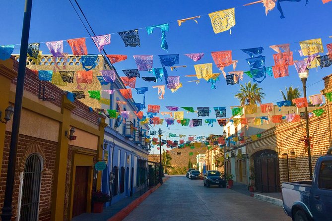 Todos Santos Day Trip from Cabo San Lucas - Comfort, group size, and why your guide matters