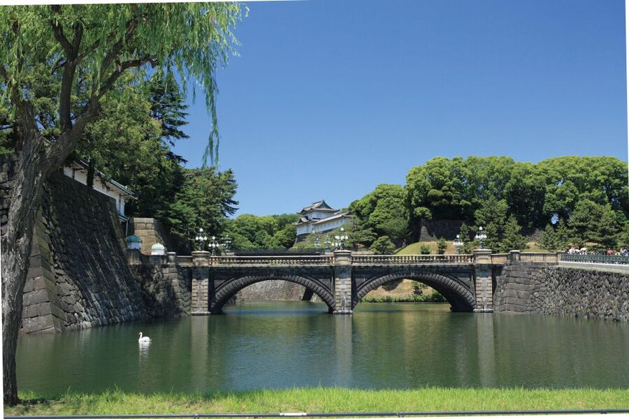 Tokyo: A Half-Day Trip Bus Tour in the Morning - Price and Value: What You’re Really Paying For