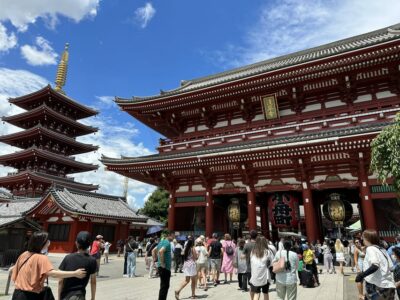 Tokyo: A Half-Day Trip Bus Tour in the Morning - Getting On at Shinjuku or Tokyo Station (No Hotel Pickup)