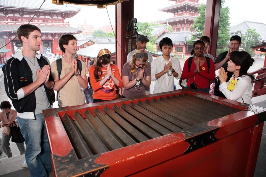 Tokyo: A Half-Day Trip Bus Tour in the Morning - Who This Tour Suits (and Who Might Want a Different Plan)