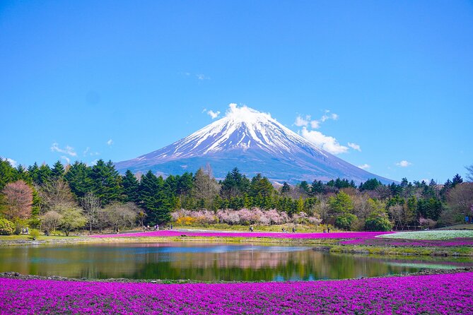 Tokyo: Customized Mt. Fuji & Hakone Sightseeing Private Day Trip - Private Mount Fuji and Hakone Day Trip: The real advantage of going “your way”