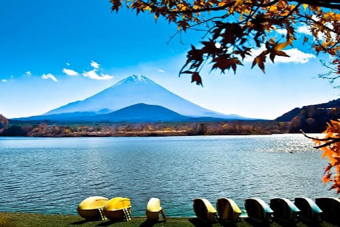 Tokyo: Customized Mt. Fuji & Hakone Sightseeing Private Day Trip - Chureito Pagoda and Oshino Hakkai: two classic Fuji scenes, paced right