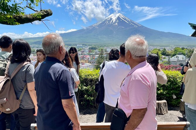 Tokyo: Customized Mt. Fuji & Hakone Sightseeing Private Day Trip - Subaru Line 5th Station: what you gain at altitude (and what you’ll pay extra)