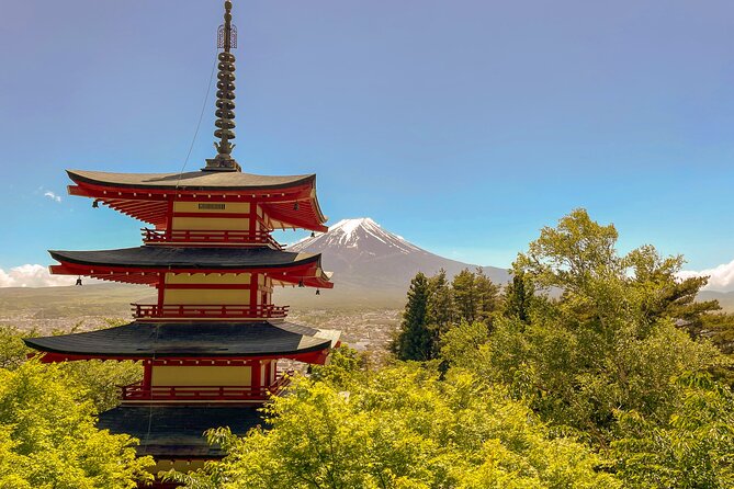 Tokyo: Customized Mt. Fuji & Hakone Sightseeing Private Day Trip - Mt Fuji Panoramic Ropeway: adding a second viewpoint later