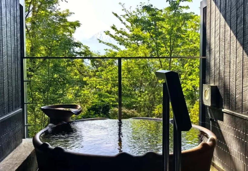 Tokyo: Mount Fuji 5th Station & Onsen Day Trip - Who This Tour Fits Best—and Who Should Skip It