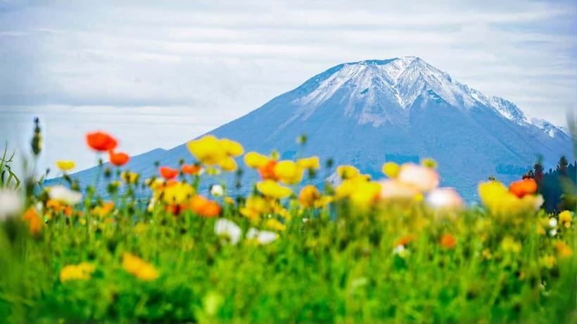 Tokyo: Mount Fuji 5th Station & Onsen Day Trip - Getting to the 5th Station: What the Bus Day Feels Like