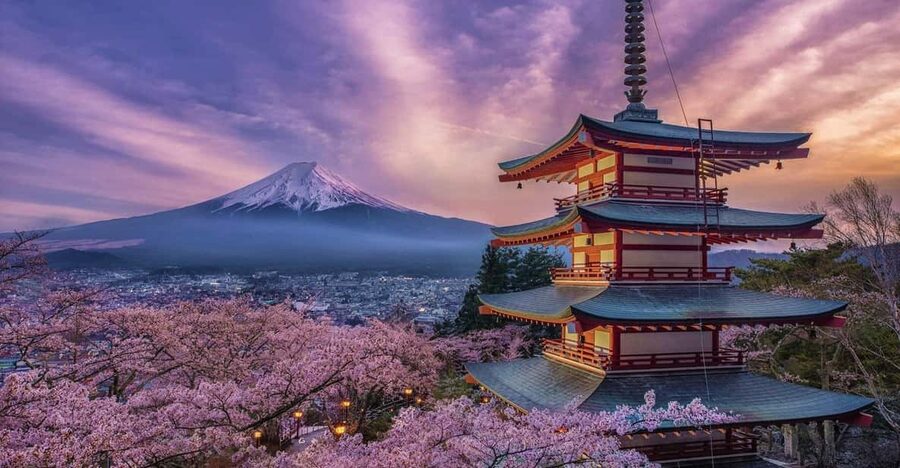 Tokyo: Mount Fuji and Hakone Private Sightseeing Day Tour - Kitaguchi-hongu Fuji Sengen Shrine: Red Torii, Cedar Shade, and Calm Photo Angles
