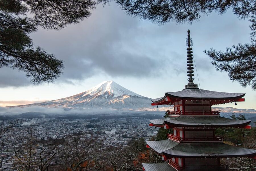 Tokyo: Mount Fuji and Hakone Private Sightseeing Day Tour - Oshino Hakkai Ponds: Snowmelt Water, Traditional Village Vibes, and Snacks