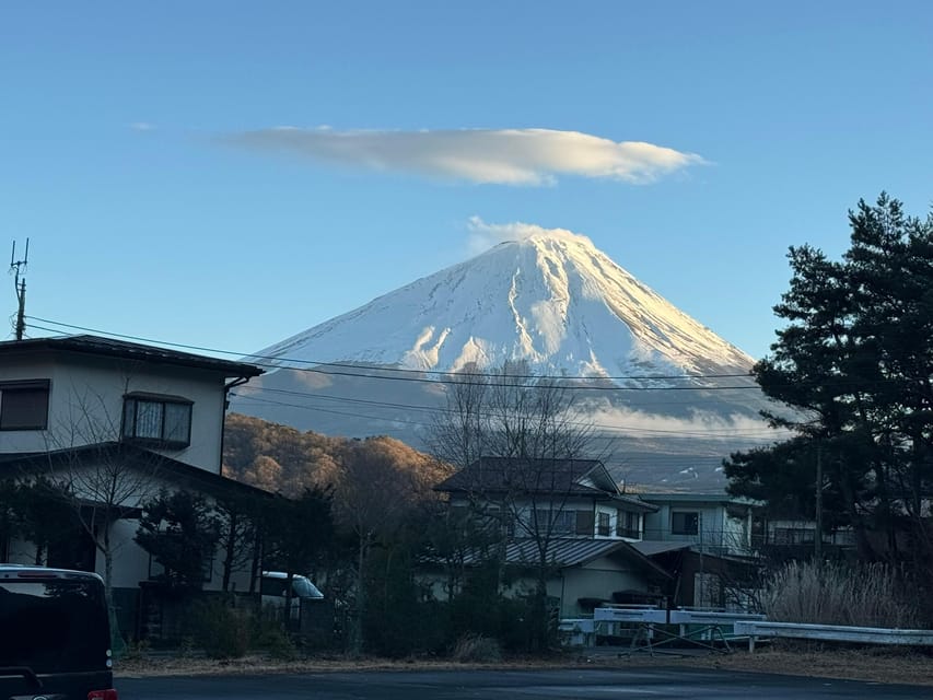 Tokyo: Mount Fuji and Hakone Private Sightseeing Day Tour - Hakone Ropeway: The Volcanic Views You Can Get Without Hiking All Day