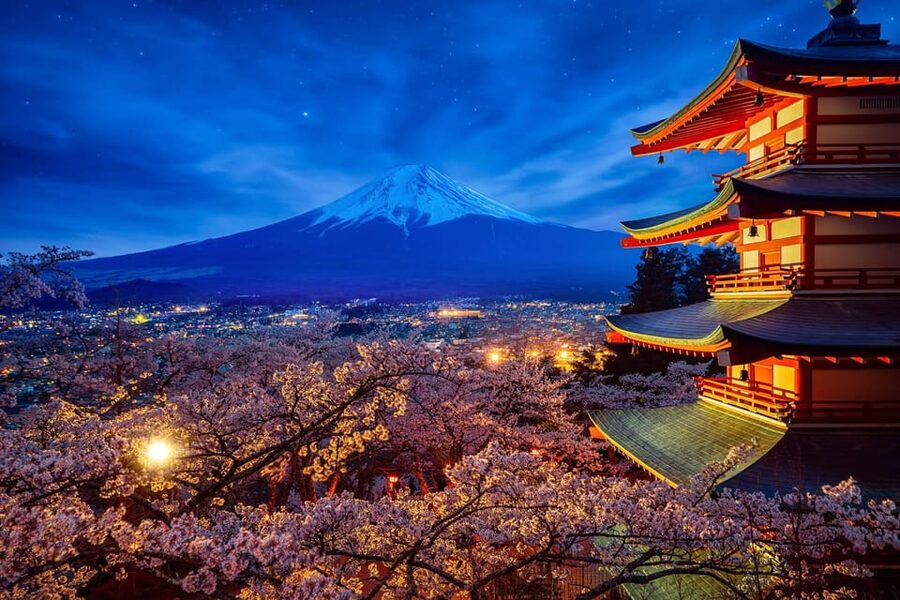 Tokyo: Mount Fuji and Hakone Private Sightseeing Day Tour - Price and Value: What $534 Covers for Up to 6 People
