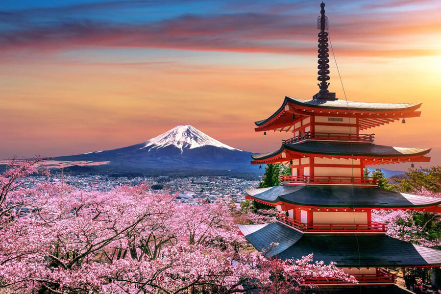 Tokyo: Mount Fuji and Hakone Private Sightseeing Day Trip - Key highlights to know before you go