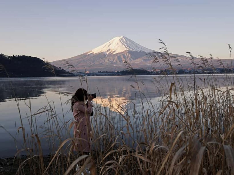 Tokyo: Mount Fuji and Hakone Private Sightseeing Day Trip - Tokyo to Mt. Fuji or Hakone by private car: why this feels better than buses