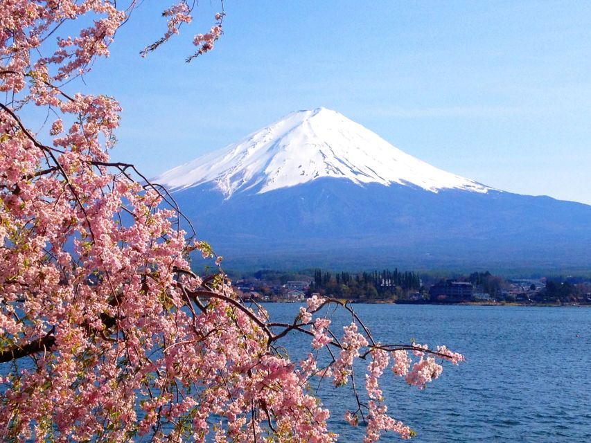 Tokyo: Mount Fuji and Hakone Private Sightseeing Day Trip - Costs and what you still need to pay in Japan