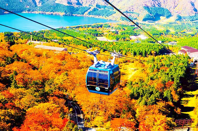 Tokyo: Mt. Fuji Cruise & Hakone Ropeway Day Trip by Bus - Lake Ashinoko at Moto-Hakone Port: Lunch With Real Scenery