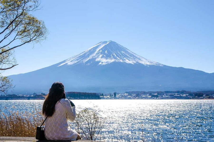Tokyo: Mt. Fuji, Kamakura, Big Buddha, & Lake Ashi Day Trip - Who This Tour Is Best For (and Who Should Think Twice)