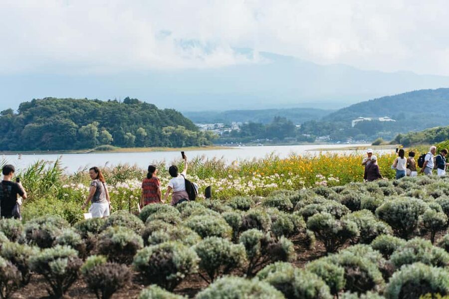 Tokyo: Mt. Fuji, Kamakura, Big Buddha, & Lake Ashi Day Trip - Mount Fuji Sightseeing: What You Can Control and What You Can’t