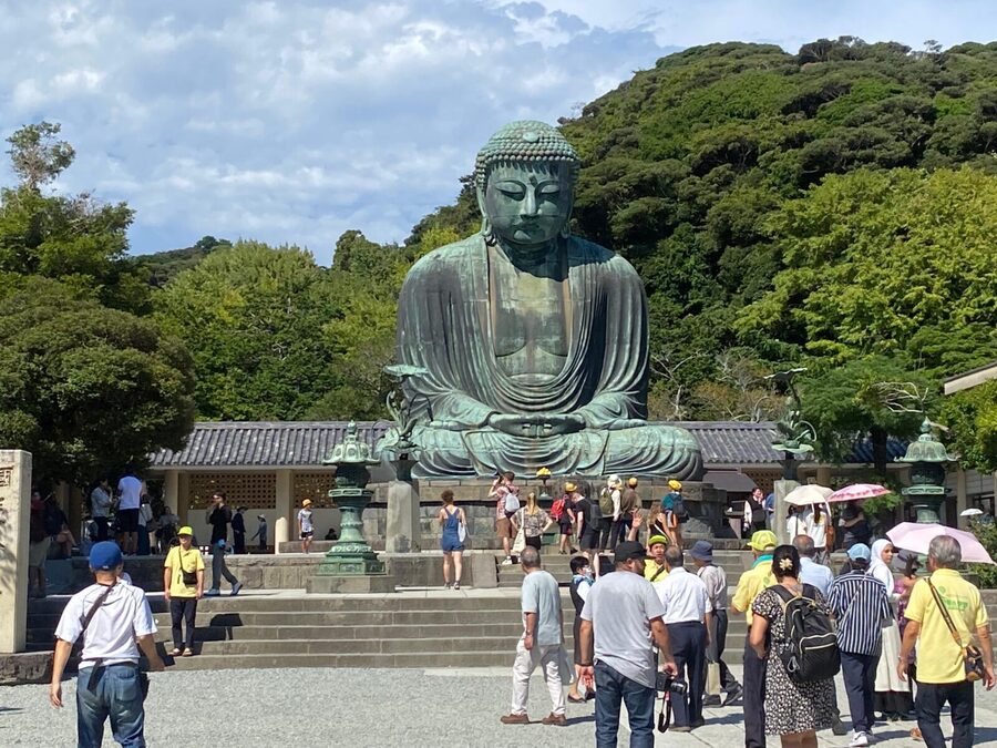 Tokyo: Mt. Fuji, Kamakura, Big Buddha, & Lake Ashi Day Trip - What to Bring (and What to Skip) for a Fuji-Spotting Day