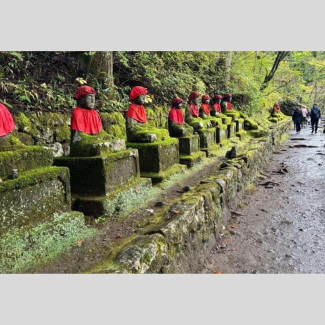Tokyo: Nikko World Heritage Private Day Trip Hotel Pick-up - Key points worth knowing before you go