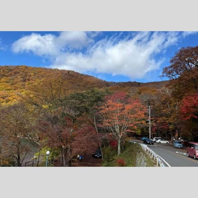 Tokyo: Nikko World Heritage Private Day Trip Hotel Pick-up - Why Nikko feels special when you do it as a private day trip