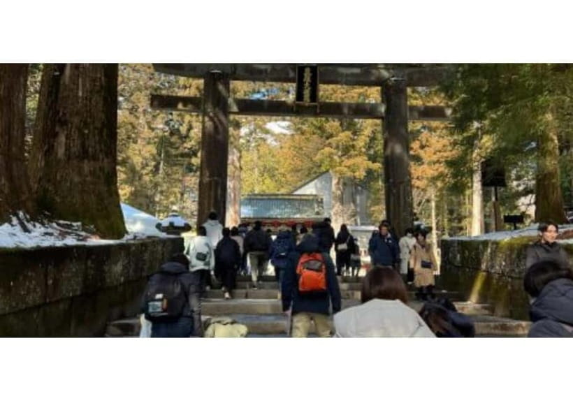 Tokyo: Nikko World Heritage Private Day Trip Hotel Pick-up - Shinkyo Bridge: the first stop that sets the tone