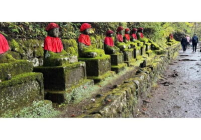 Tokyo: Nikko World Heritage Private Day Trip Hotel Pick-up - Door-to-door pickup and the comfort factor that saves your day