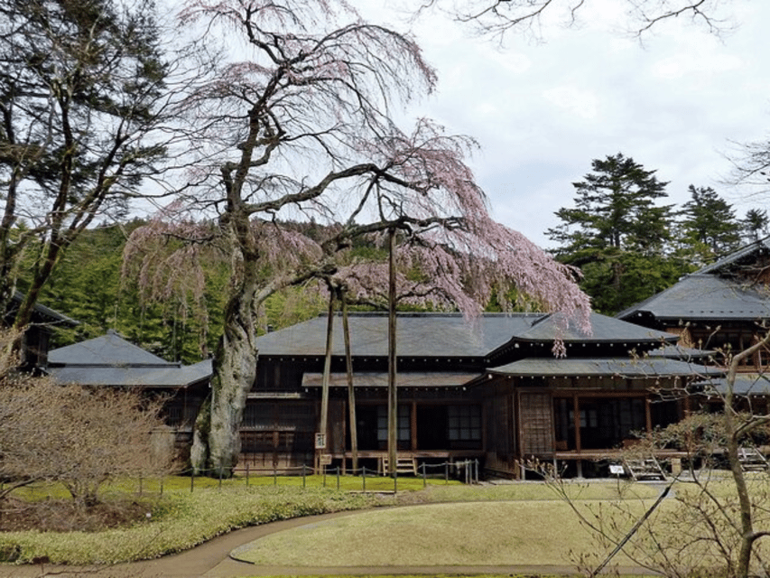 Tokyo: Nikko World Heritage Private Day Trip Hotel Pick-up - Toshogu Shrine: color, craft, and Tokugawa power
