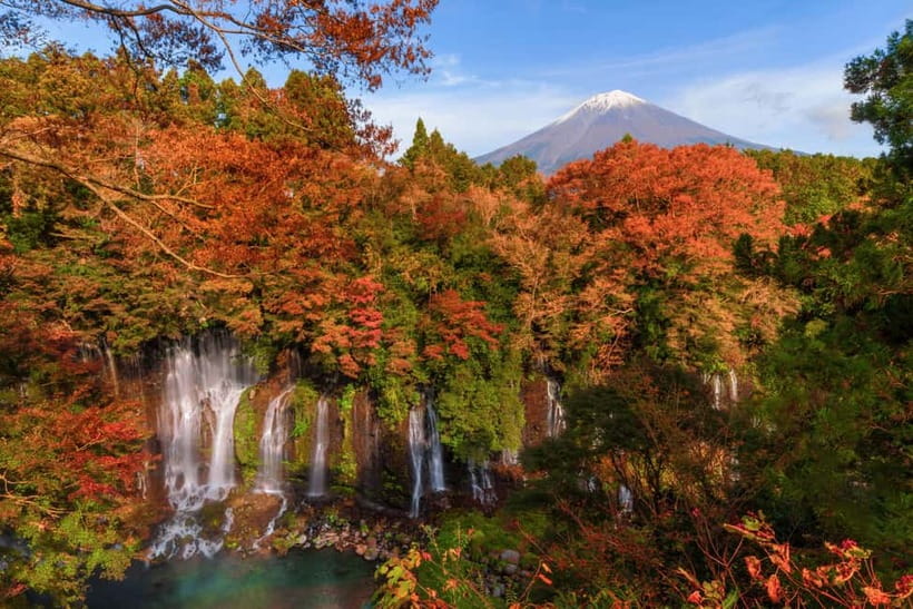 Tokyo: Onsen, Arts, and Nature Day Trip to Fuji and Hakone - Lake Ashi and Hakone Shrine: where the pace slows down
