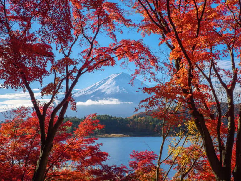 Tokyo: Onsen, Arts, and Nature Day Trip to Fuji and Hakone - Shakushi Pass and the Open-Air Museum: culture in good weather and rain