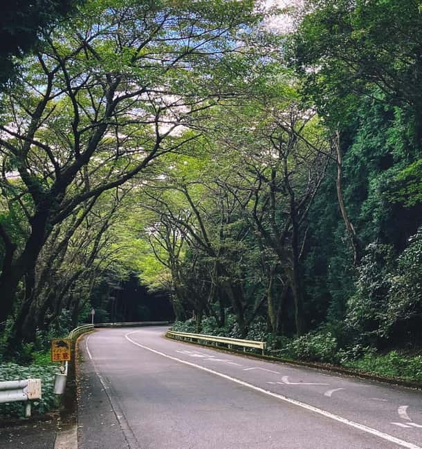 Tokyo: Onsen, Arts, and Nature Day Trip to Fuji and Hakone - Scenic road stops: panoramic Fuji, Hakone, and Sea of Japan views