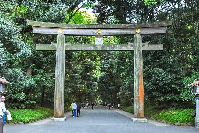 Tokyo Private Day Trip - Enjoy Your First-Time Visit to Tokyo! - The private guide advantage: rails, pacing, and confidence