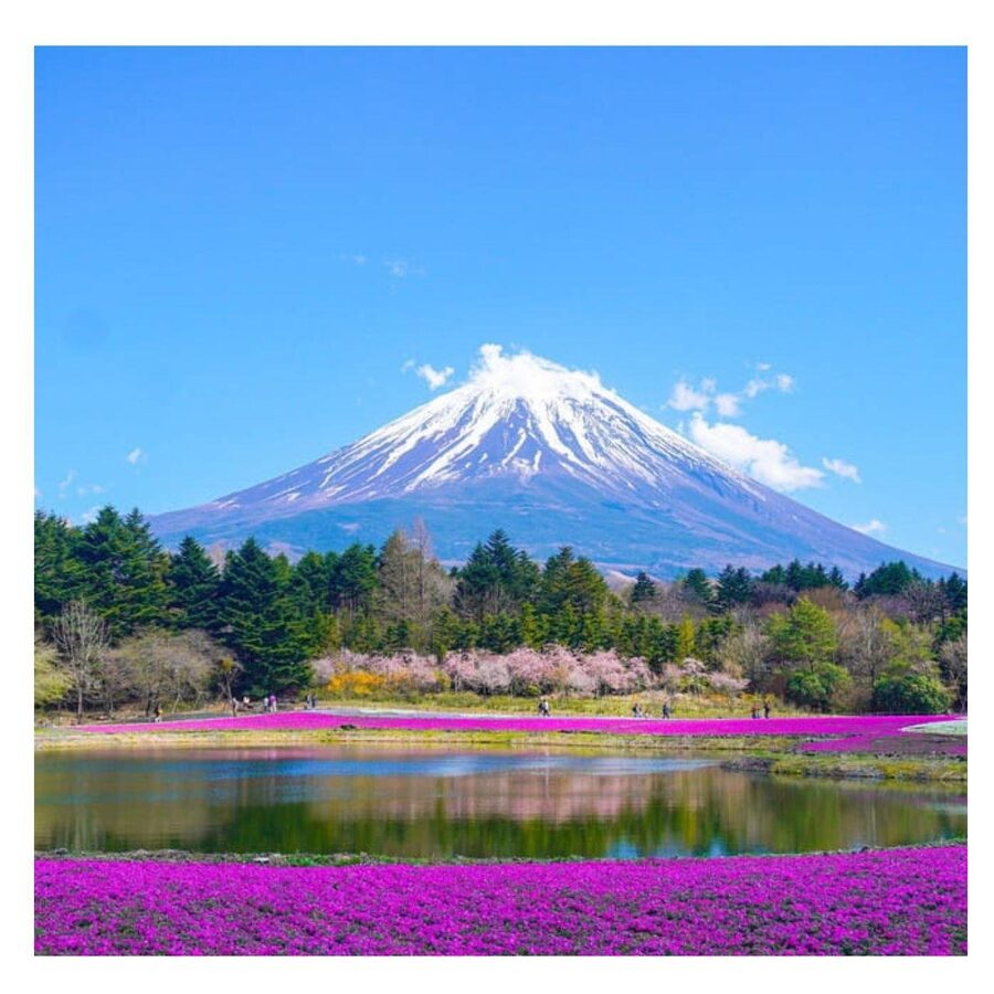 “Tokyo to Mt. Fuji & Hakone: Private Customizable Day Trip” - Stop-by-stop: what you’ll get from each classic viewpoint