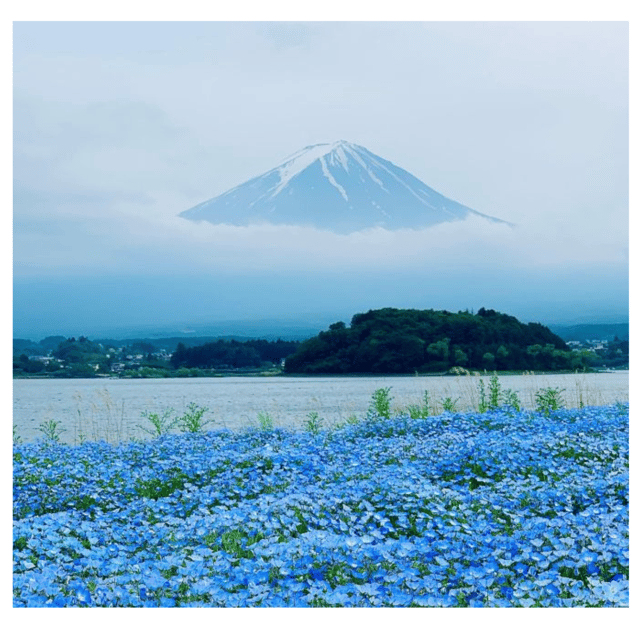 “Tokyo to Mt. Fuji & Hakone: Private Customizable Day Trip” - Transportation comfort: the quiet luxury that saves energy